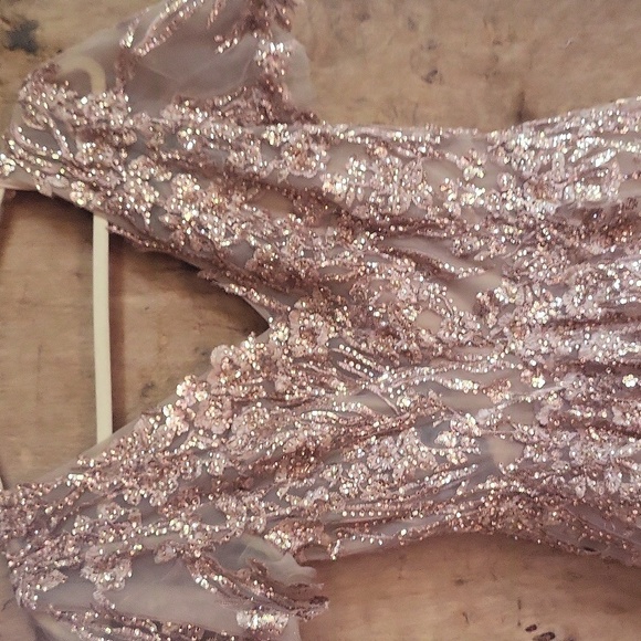 Mac Duggal 20392 Embellished Butterfly Fit size 2 gown Taupe NWT - Picture 5 of 9